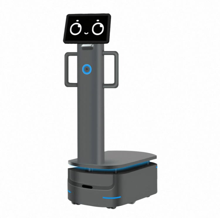 Roboti Nzito ya Kupakia kwa Utoaji Viwandani